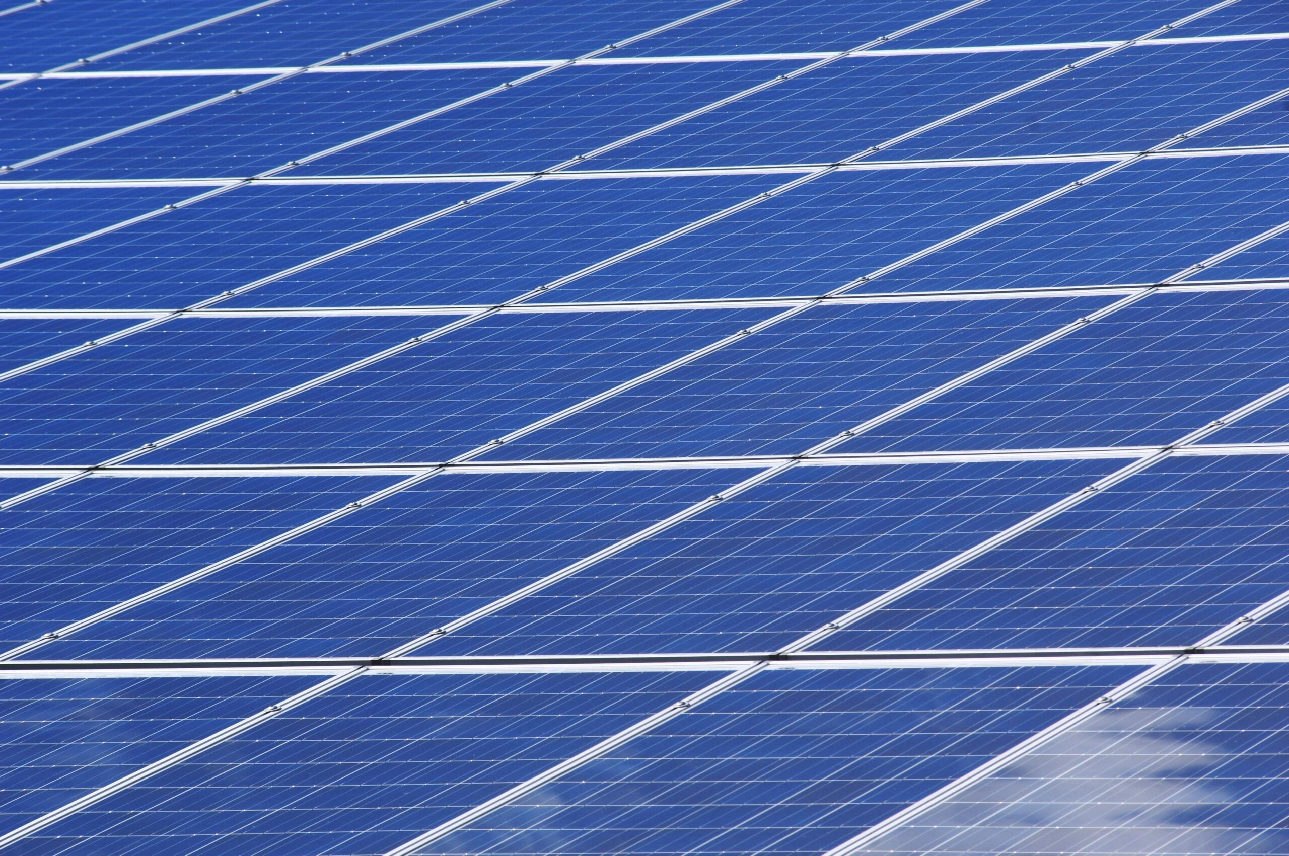 O setor de energia renovável no Brasil: perspectivas e oportunidades